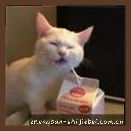 孙莉